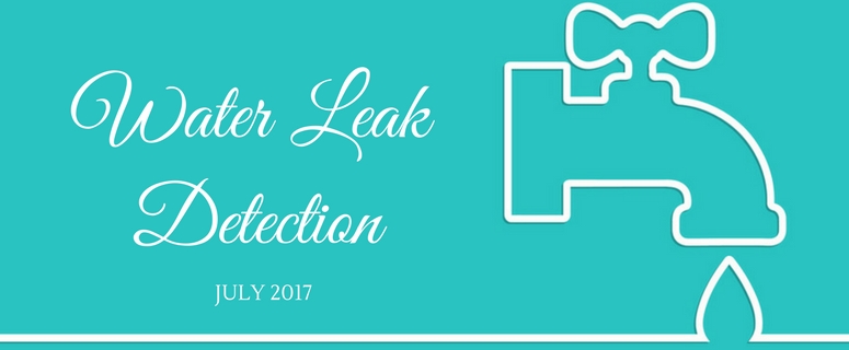 Water leak detection logo