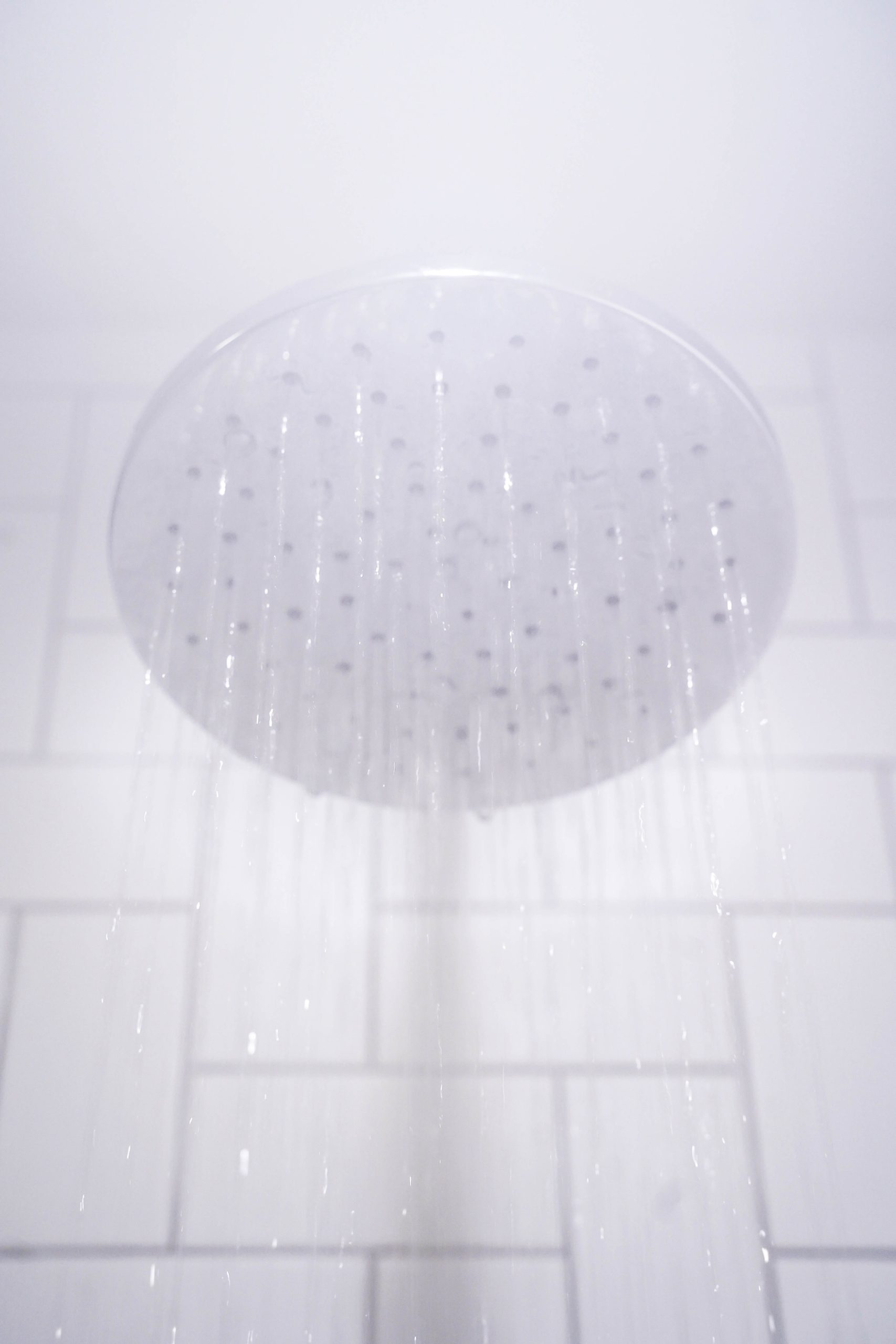Picture of a Shower Head installed by Kellie Plumbing